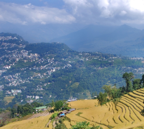 Delightful Sikkim Honeymoon Tour